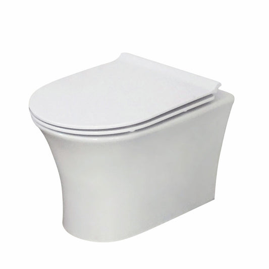 Scudo Deia Wall Hung WC -inc seat